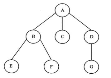 树的结构示意图.png
